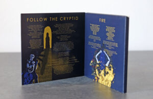 Till Steinberger Dschagganath EP booklet design created for the 2018 release